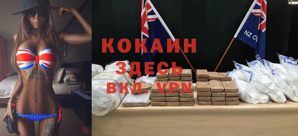 спайс Богданович