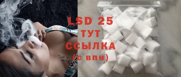 спайс Богданович