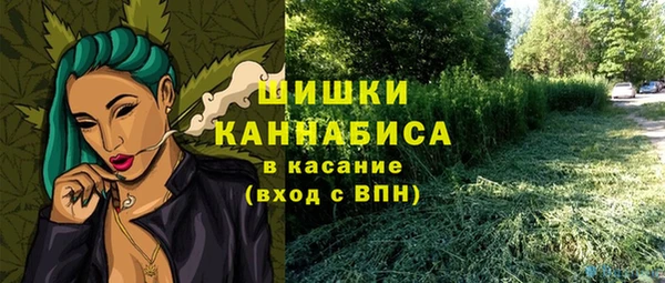 спайс Богданович