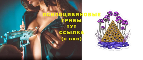хмурый Богородск