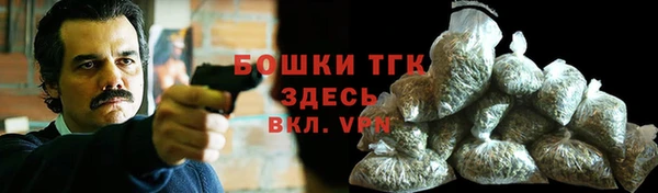 спайс Богданович