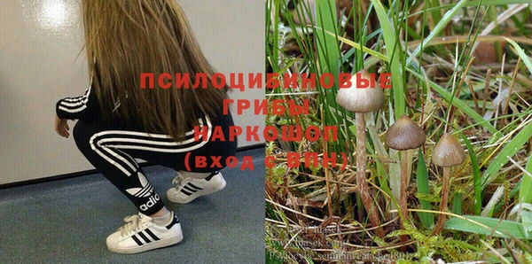 хмурый Богородск