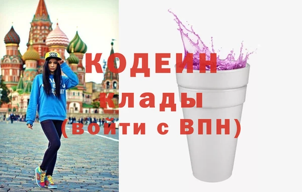индика Бородино