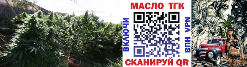 купить закладку  Могоча  Дистиллят ТГК концентрат 